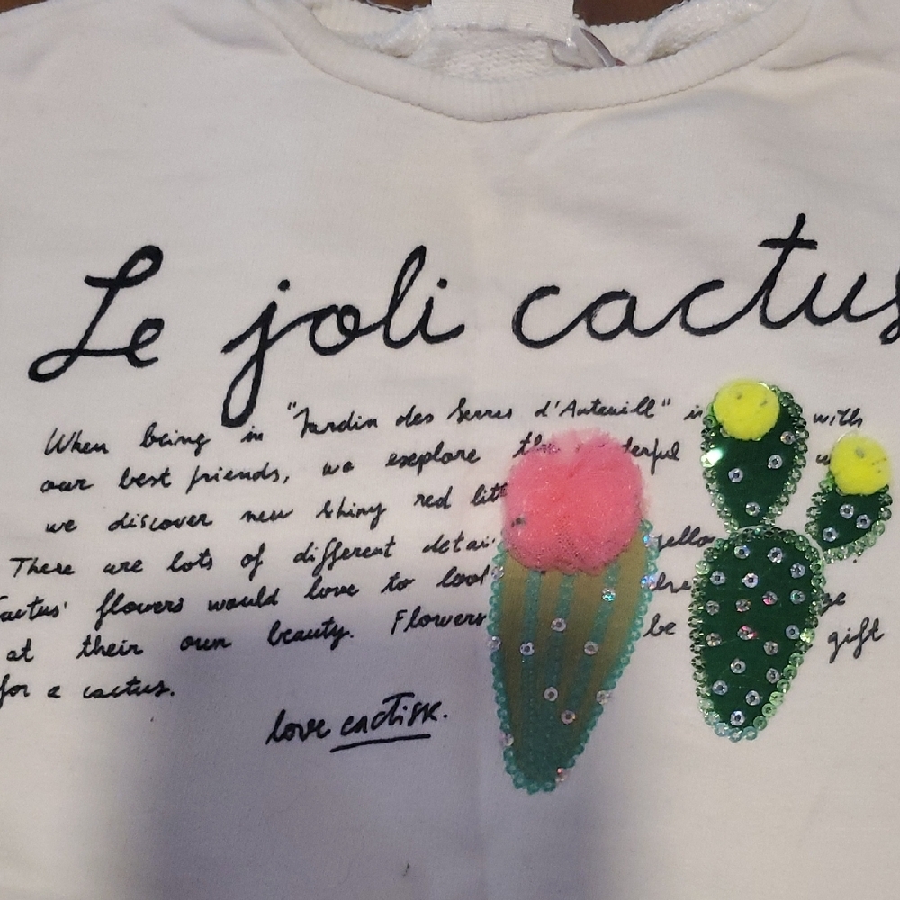 🐻 Zara Kids White Sweatshirt with Cactus Design - Picture 3 of 3